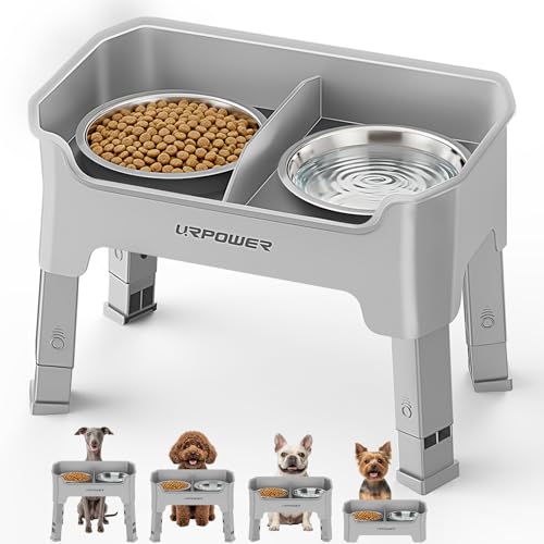 URPOWER Pet Feeder in Small, Light Grey