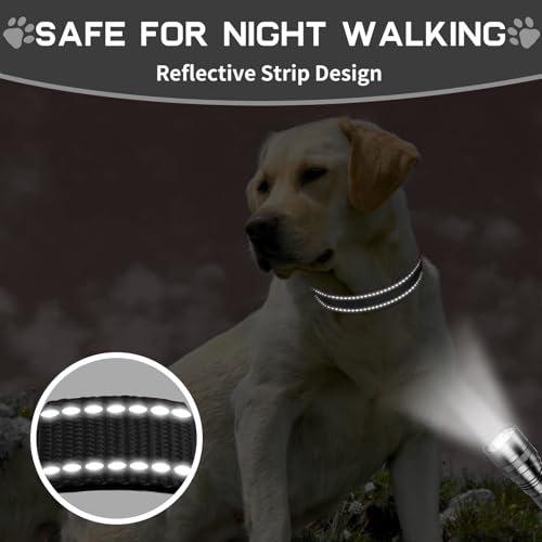 kazazoo Leash in M, collar