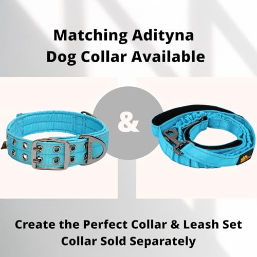 ADITYNA Leash in 6ft to 7.5ft, Blue