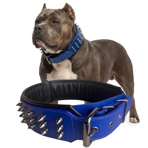 Molteriqo Animal Collar in XL-neck 49-57cm, Blue