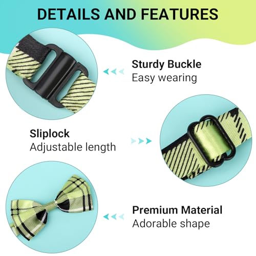 Segarty Pet Apparel in Small to Medium, 80pcs-vivid