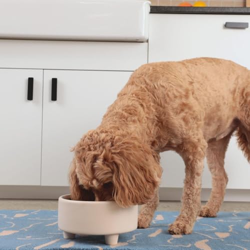 Waggo Pet Feeder in Small, Mustard