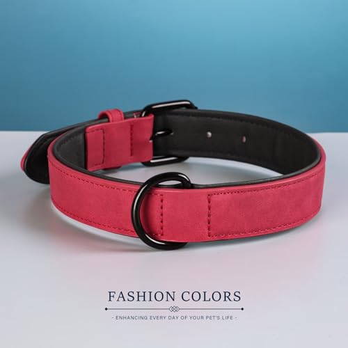 Didog Animal Collar in M: Fit Neck 11-14"(10-20 lbs), Red