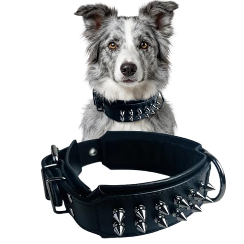 Molteriqo Animal Collar in L-neck 39-47cm, Black