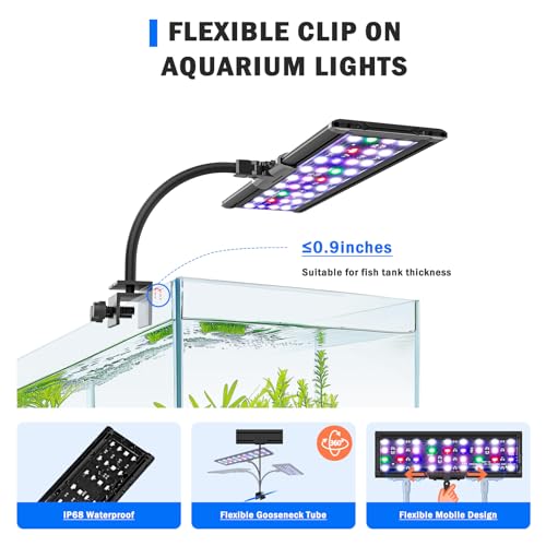 AQQA Electric Light in 11W, Black
