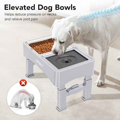 UPSKY Pet Feeder in E-3-in-1 (White)