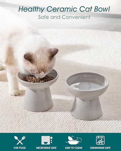 vancasso Pet Feeder in 2 Pack-Food & Water Bowls, Grey