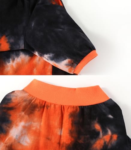 PriPre Pet Apparel in Large, Black Orange