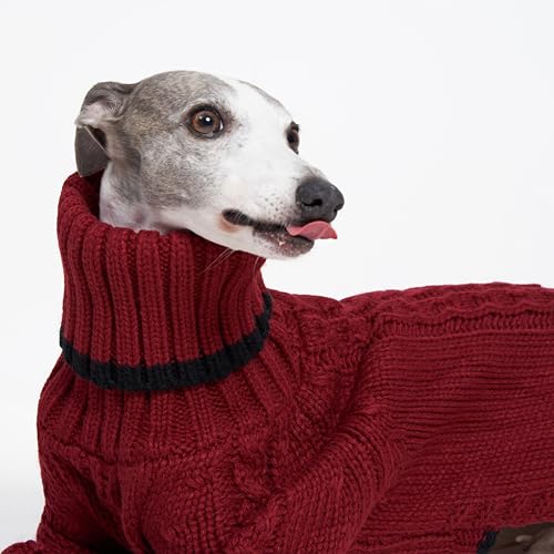 ESCCBOO Pet Apparel in Small, Red