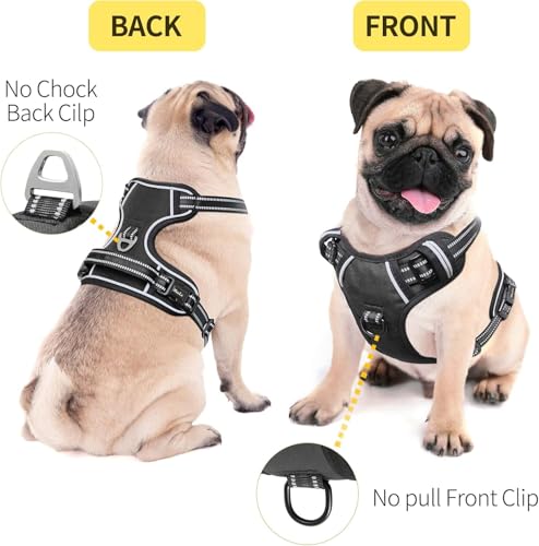 HEELE Animal Harness in XS, Black