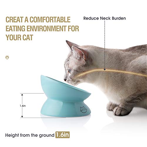 Sweejar Home Pet Feeder in 147ml, Turquoise
