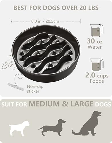 MOPANG Pet Feeder in 8 Inches, Black