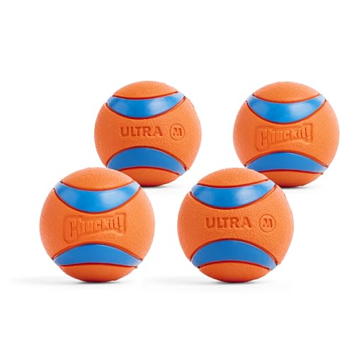 Chuckit! Pet Toy in Medium, Ultra