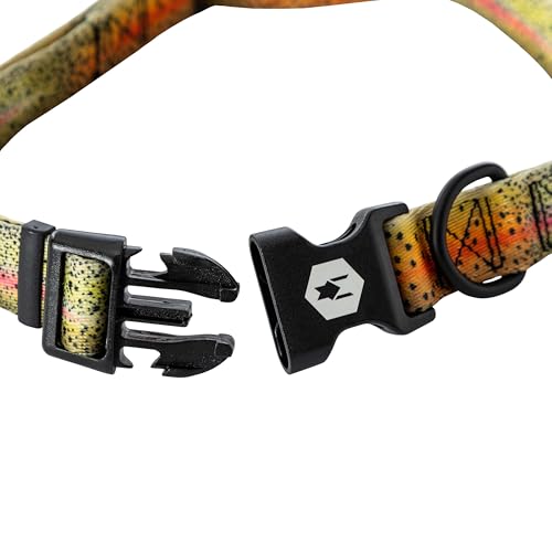 Wolfgang Man & Beast Animal Collar in Medium (1 Inch x 12-18 Inch), CutBow Print