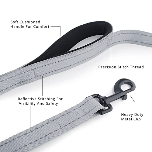 PLUTUS PET Leash in 4 FT, Gray