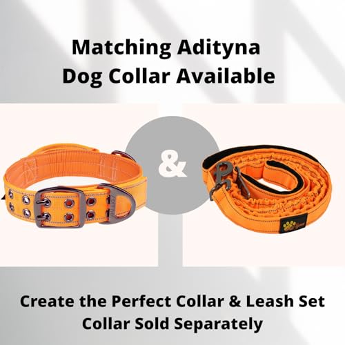 ADITYNA Leash in 6ft-7.5ft, Orange