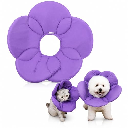 POPETPOP Animal Recovery Collar Cone in Purple