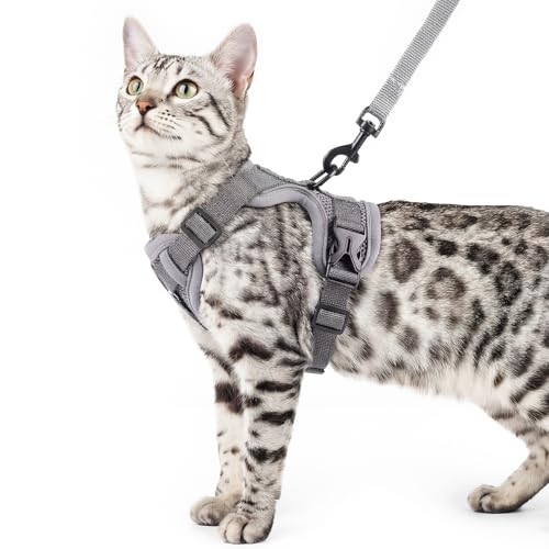 pangdi Animal Harness in Small, Grey