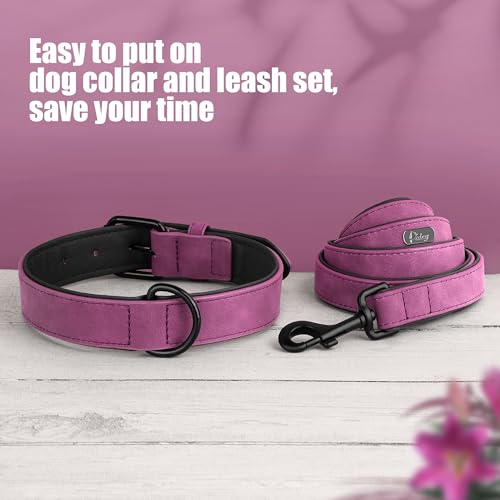 Didog Animal Collar in M: Fit Neck 11-14"(10-20 lbs), Purple Set