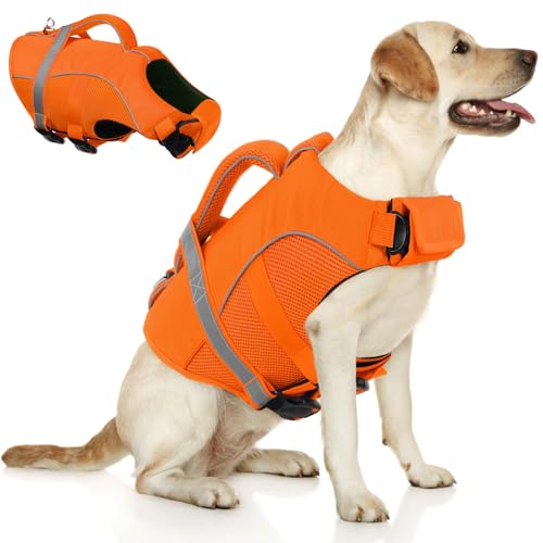 Queenmore Pet Apparel in X-Small, Orange