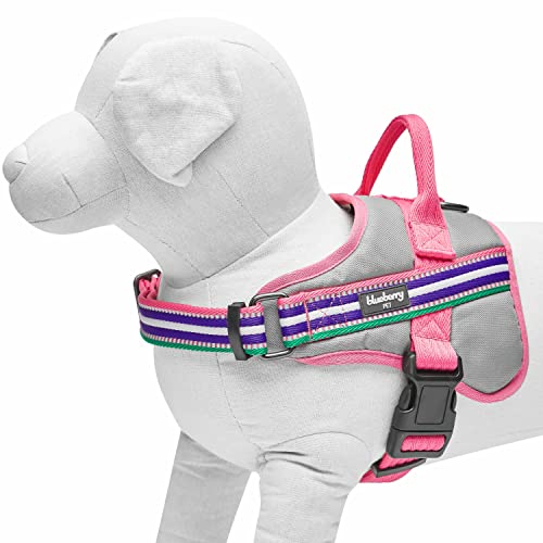 Blueberry Pet Animal Harness in Emerald,Orchid and Pink