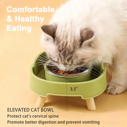 VYTTOX Pet Feeder in Green