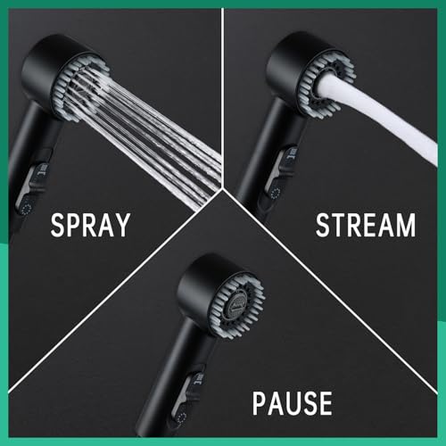 V-Frankness Showerhead in 78 Inches Hose, Matte Black