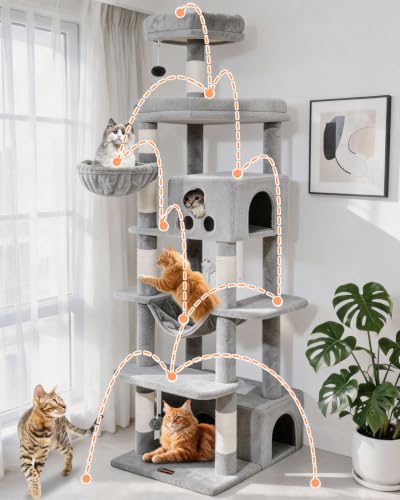 Taoqimiao Pet Activity Structure in 79 inch, Light Gray
