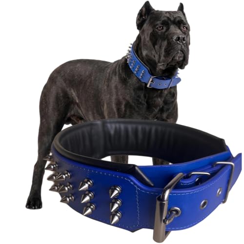 Molteriqo Animal Collar in 2XL-neck 57-65cm, Blue