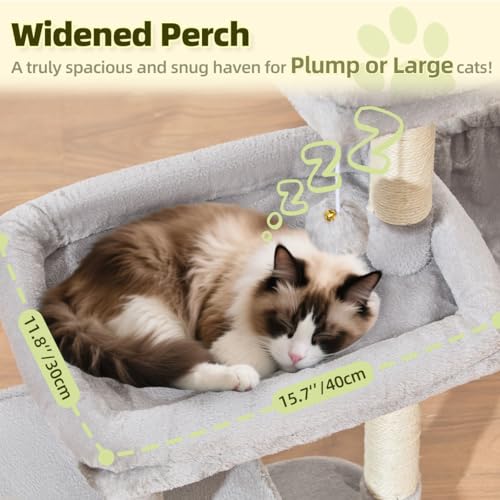 Taoqimiao Pet Activity Structure in L, Light Gray