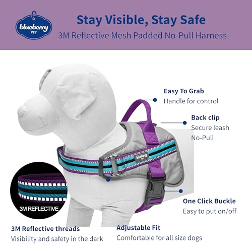 Blueberry Pet Animal Harness in Medium, Blue-gray and Olive