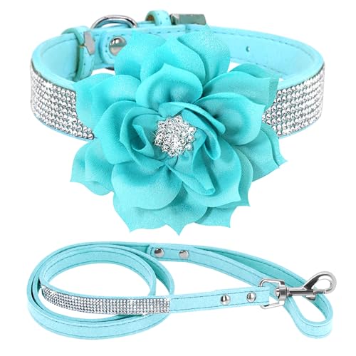 PET ARTIST Animal Collar in XS:Neck 7.5-10"(3-7 lbs), Black