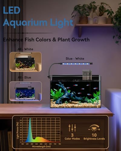 minilake Vivarium in 5 Gallon, Black