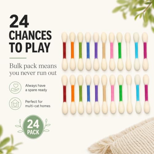 Glaciart One Pet Toy in Regular, Mixed Colors Swabs 24pcs