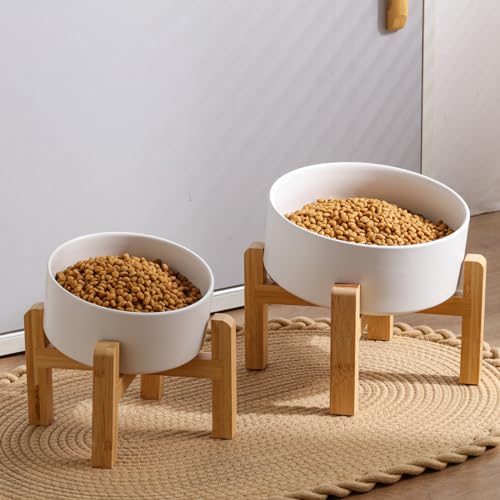 DJJJOOYS Pet Feeder in Slanted Small Dog Bowl, White