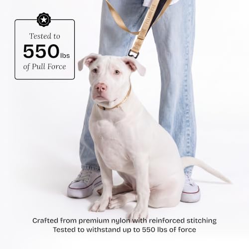 Fei and Eve Leash in 4FT, Champagne