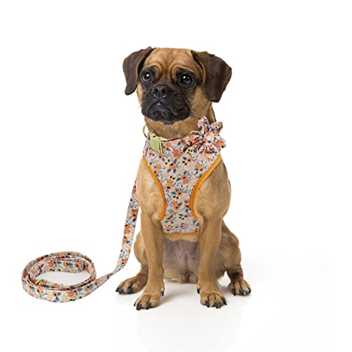 Beirui Animal Harness in S:Fit 12-20 lbs, Orange