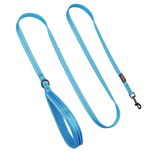 Didog Leash in 5/8''x 6 FT, Blue