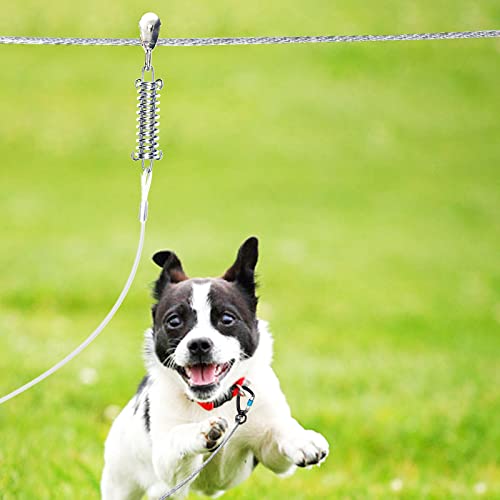 Snagle Paw Leash in 50ft run cable+10ft tie out cable, Silver for 250lbs dogs