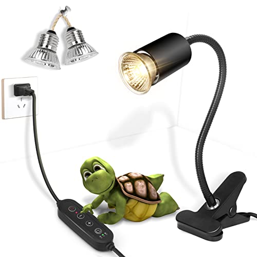 Fischuel Light Bulb in Black