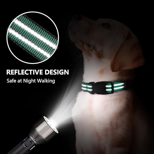 Hikiko Animal Collar in Small, Dark Green