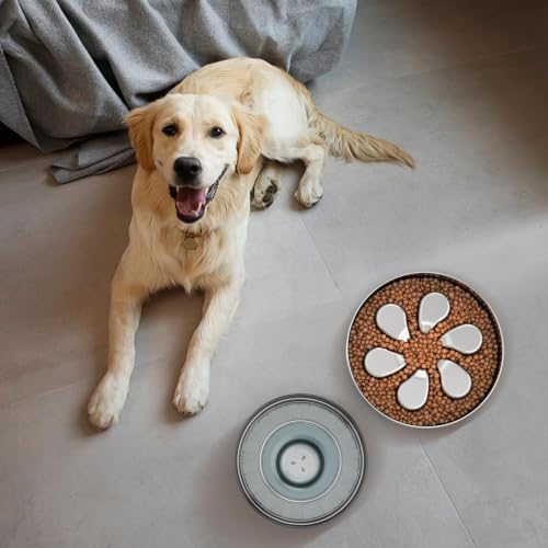Feedoo Pet Feeder in L 3.5-Cup, Flower-1Pack
