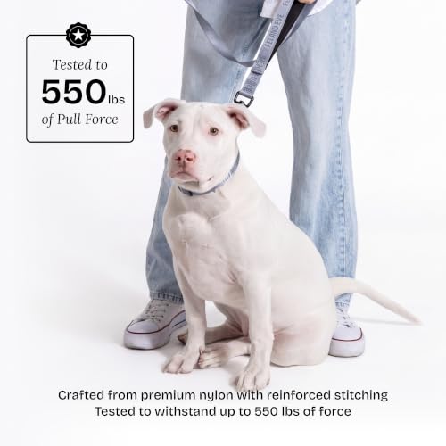 Fei and Eve Leash in 4FT, Dusk Blue
