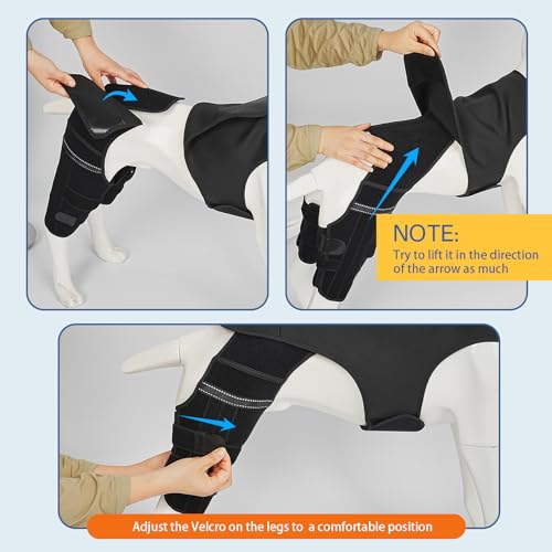 Marnonsis Pet Supplies in XL, Black