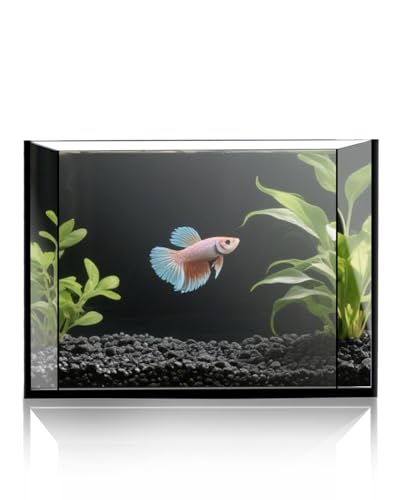 minilake Vivarium in 3 Gallon, Black