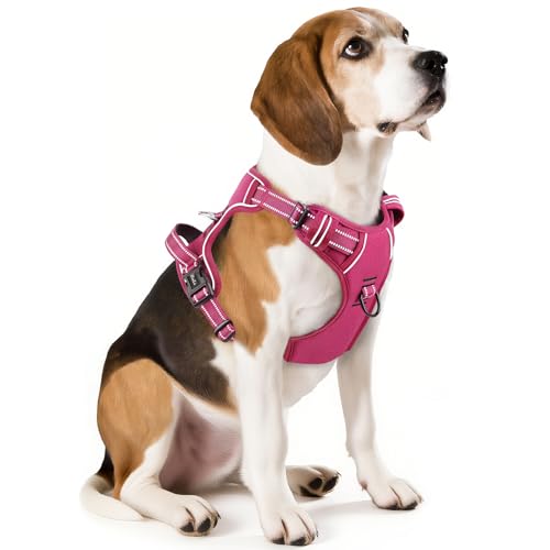HEELE Animal Harness in M, Rose(Matching Trim)