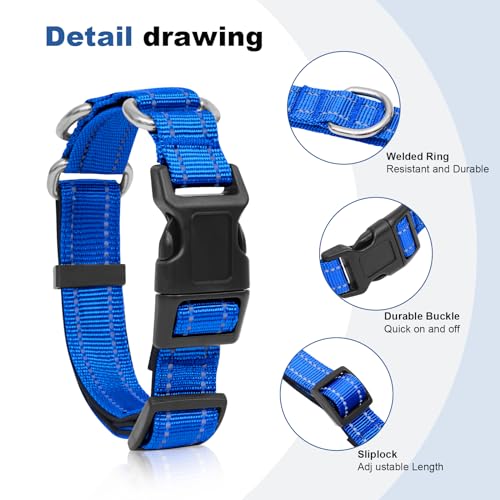 GDLKPS Animal Collar in XS:3/4" Wide for 11.5"-13.5" Neck, Blue