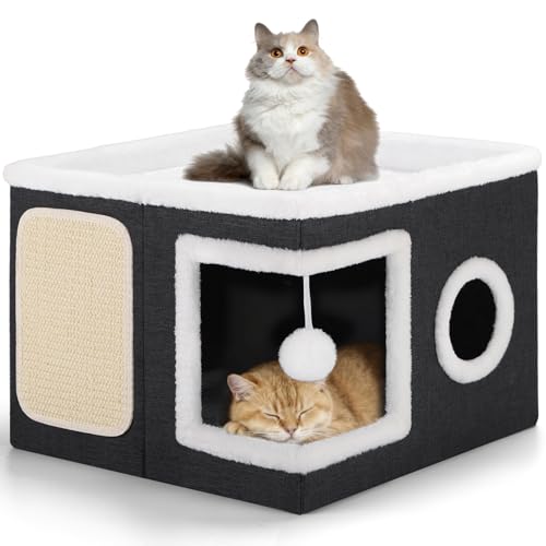 Shikha Animal Shelter in Large, Black