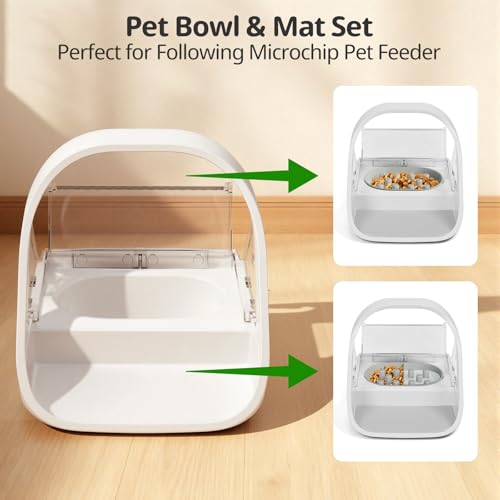 Baofum Pet Feeder in 2+1 Pack, Gray Bowls