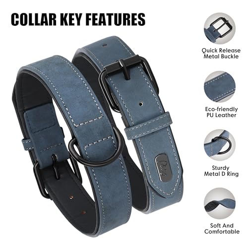 Didog Animal Collar in M: Fit Neck 11-14"(10-20 lbs), Blue
